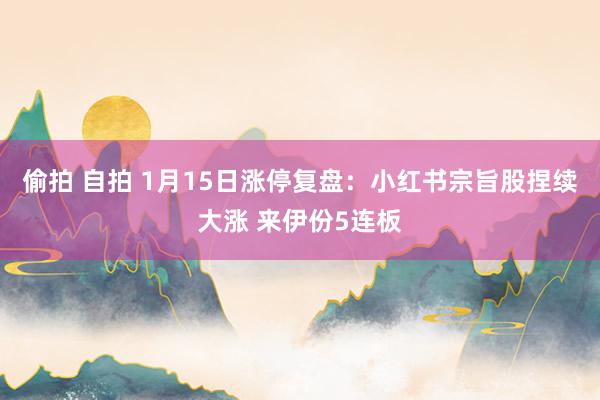 偷拍 自拍 1月15日涨停复盘:小红书宗旨股捏续大涨 来伊份5连板