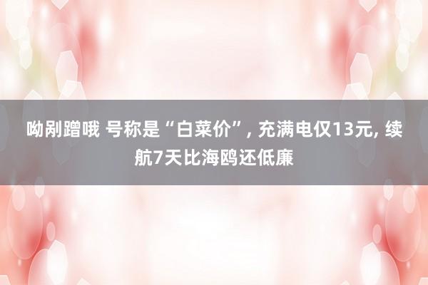 呦剐蹭哦 号称是“白菜价”， 充满电仅13元， 续航7天比海鸥还低廉
